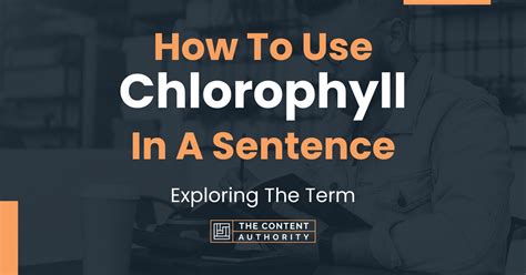 a sentence for chlorophyll|chlorophyll used in a sentence.